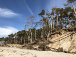 2E249565-504C-4F56-B38C-9A7976AE3556.jpeg
