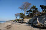 DSC_1910.JPG