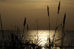 phoca__slr7691.jpg