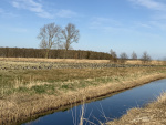 0ADDB0E9-0644-4900-B9D8-BC76B66838A0.jpeg